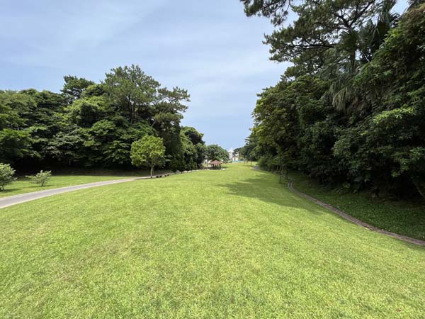 10桃原公園_広場