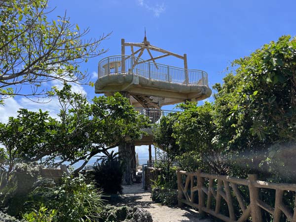 10野鳥の森自然公園_展望台1