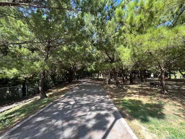 10馬場都市緑地_遊歩道1