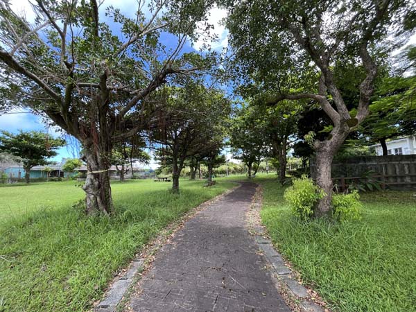 11中川近隣公園_遊歩道