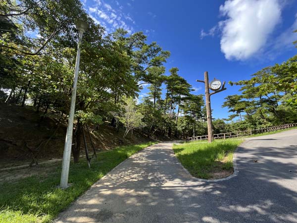 11馬場都市緑地_遊歩道2