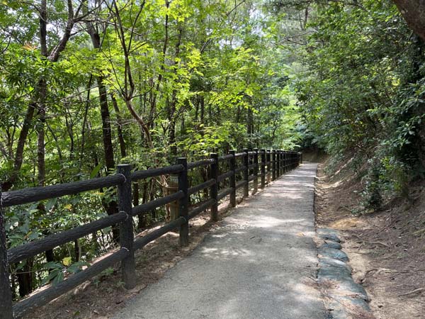 12桃原公園_遊歩道2