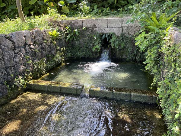 13白川街区公園_湧き水2