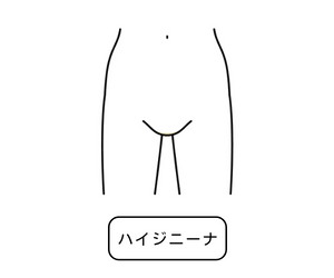 ハイジニーナ