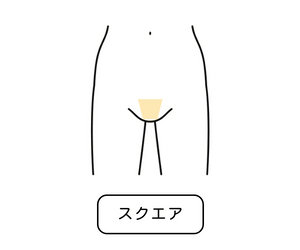 スクエア