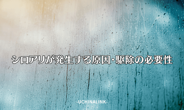 シロアリが発生する原因・駆除の必要性