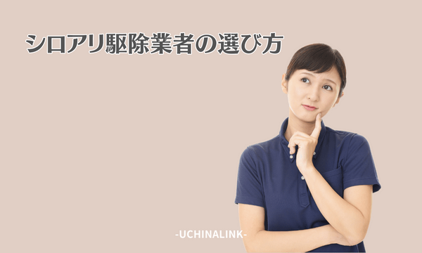 シロアリ駆除業者の選び方