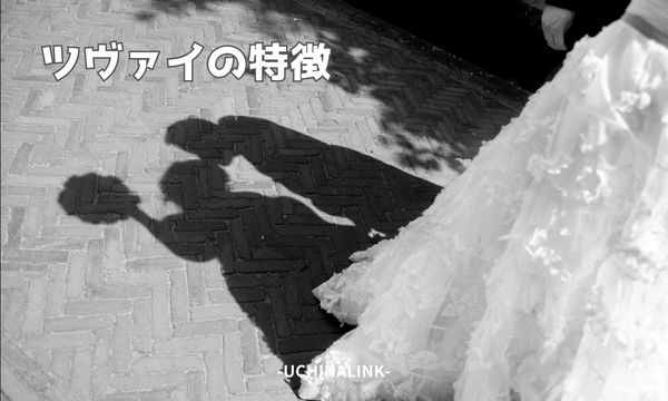 ツヴァイの特徴