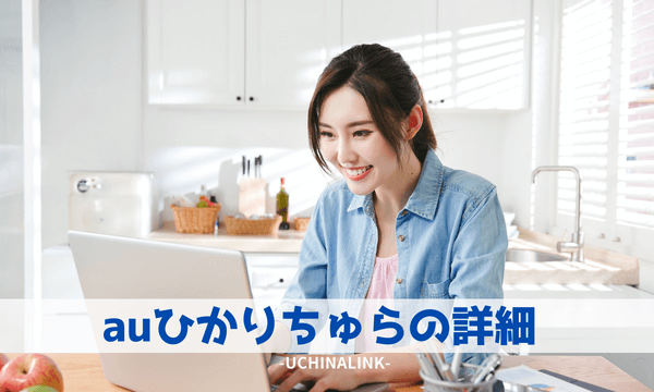 auひかりちゅらの詳細