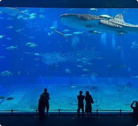 沖縄美ら海水族館