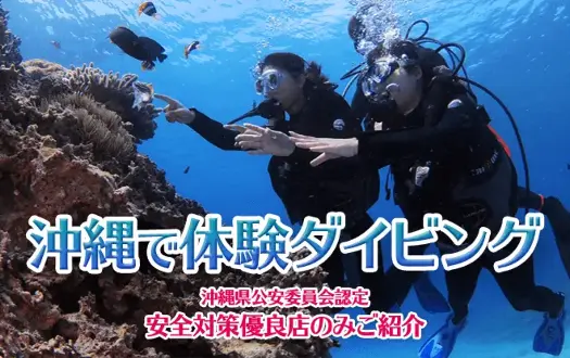 体験ダイビング