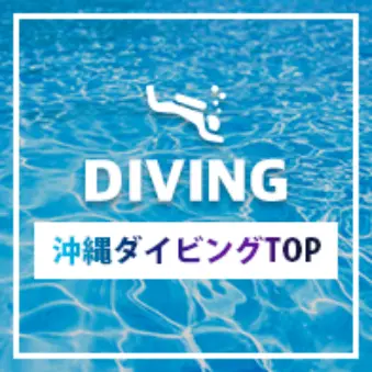 ダイビング