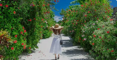 はじめての方におすすめ