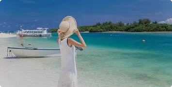 季節の楽しみ方