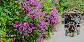 はじめての方におすすめ