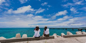 季節の楽しみ方