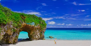 はじめての方におすすめ