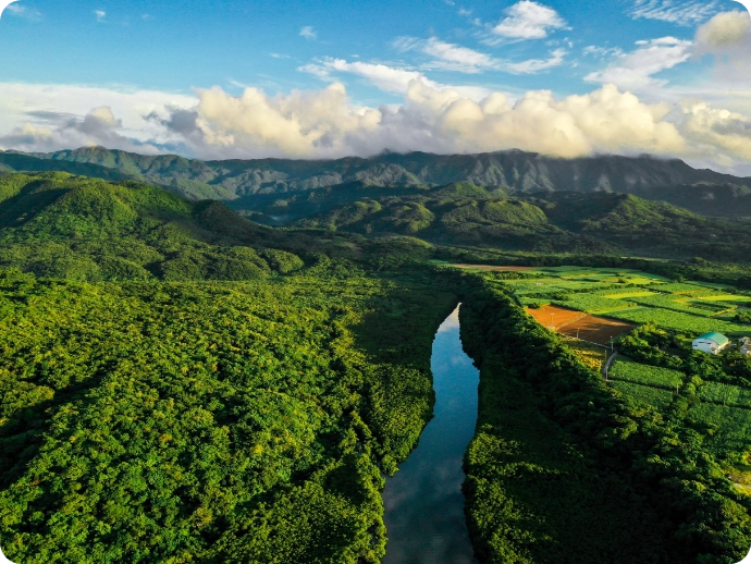 「西表島」のフリープラン