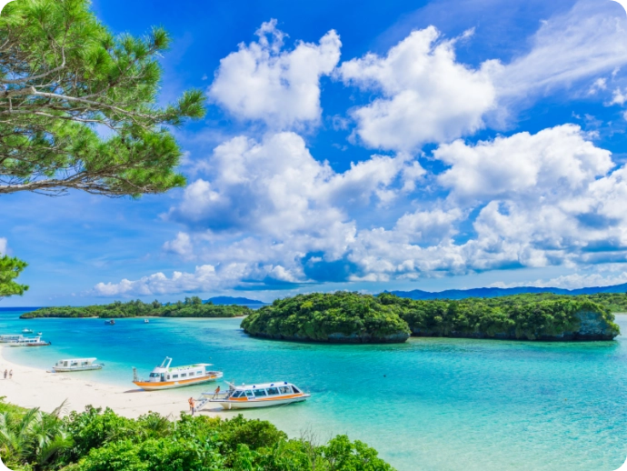 「石垣島」のフリープラン