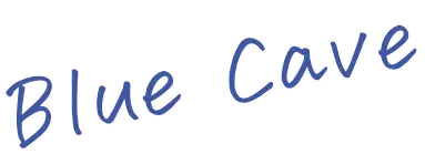 中部・関西エリア