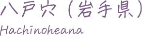八戸穴（岩手県）