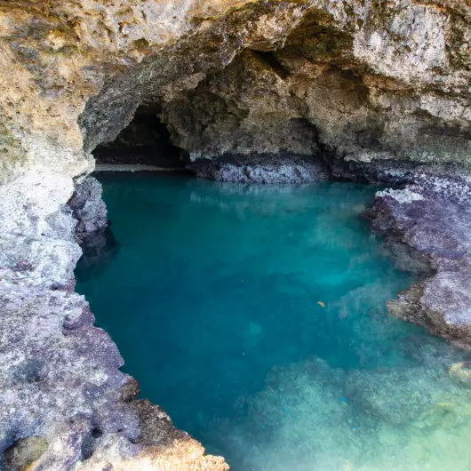 石垣島（沖縄県）