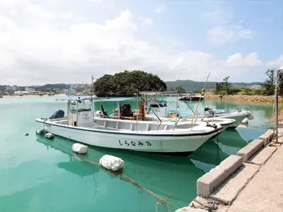 港からボートに乗船します。