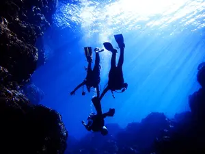 透明度が最も良い時間帯です！