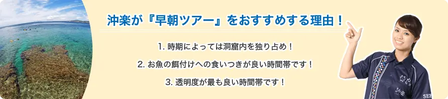 早朝ツアーをおすすめする理由