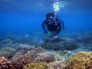 遠浅の海に広がるサンゴ礁