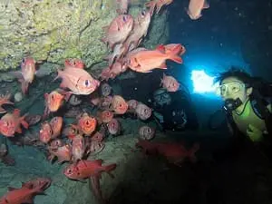 チービシ諸島神山島