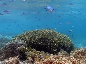 チービシ諸島ナガンヌ島