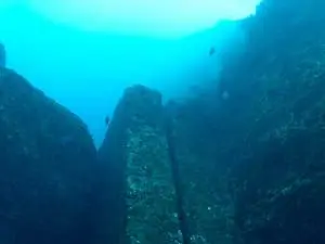 カメのモニュメント