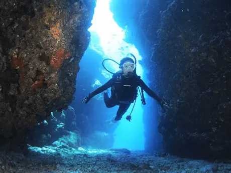 憧れの慶良間で、クオリティの高いファンダイビングを安心安全に満喫出来ます！