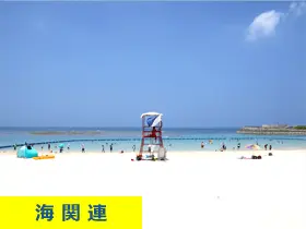 海関連