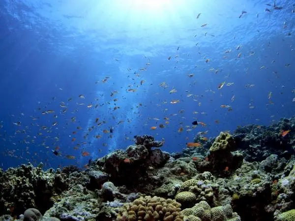 慶良間に到着！