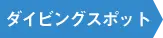 ダイビングスポット