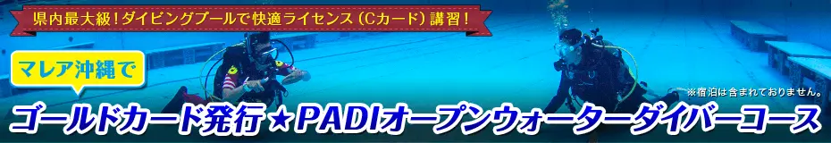 PADIオープンウォーターダイバーライセンス(Cカード)講習沖縄滞在3泊4日★空港・那覇市内ホテル送迎付 10月~12月/総額58,376円~