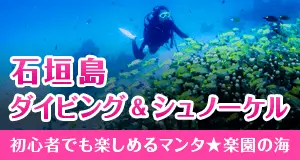 石垣島ダイビング★世界的マンタスポット