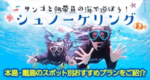 「青の洞窟」や「慶良間」などおすすめプラン満載！