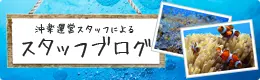 スタッフブログ