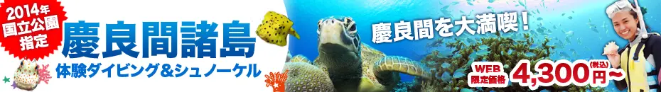 慶良間諸島体験ダイビング＆シュノーケル