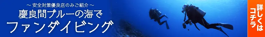 「慶良間諸島」「チービシ環礁」