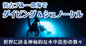 宮古島「ダイビング＆シュノーケリング」