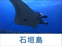 石垣島ダイビング