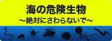 海の危険生物～絶対にさわらないで～