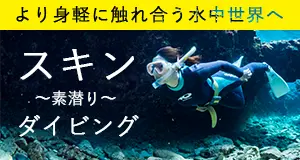 沖縄スキンダイビング（素潜り）