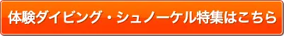 体験ダイビング・シュノーケル特集はこちら