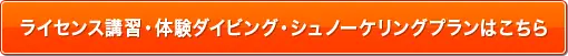 ライセンス講習・体験ダイビング・シュノーケリングプランはこちら