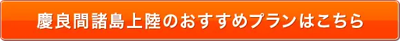 慶良間諸島上陸のおすすめプランはこちら